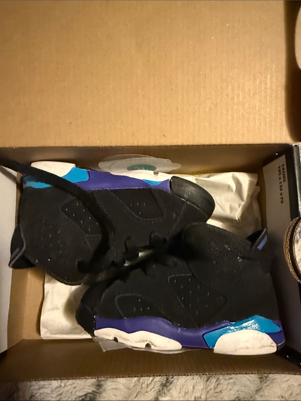Jordan 6 Retro  with Purple & Teal Accents